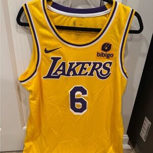 Nike Los Angeles Lakers Yellow/Purple Basketball Jersey #6